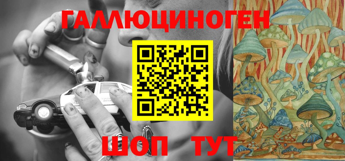 Галлюциногенные грибы MAGIC MUSHROOMS  хочу наркоту  Дивногорск  Псилоцибиновые грибы Cubensis  Вход с VPN 